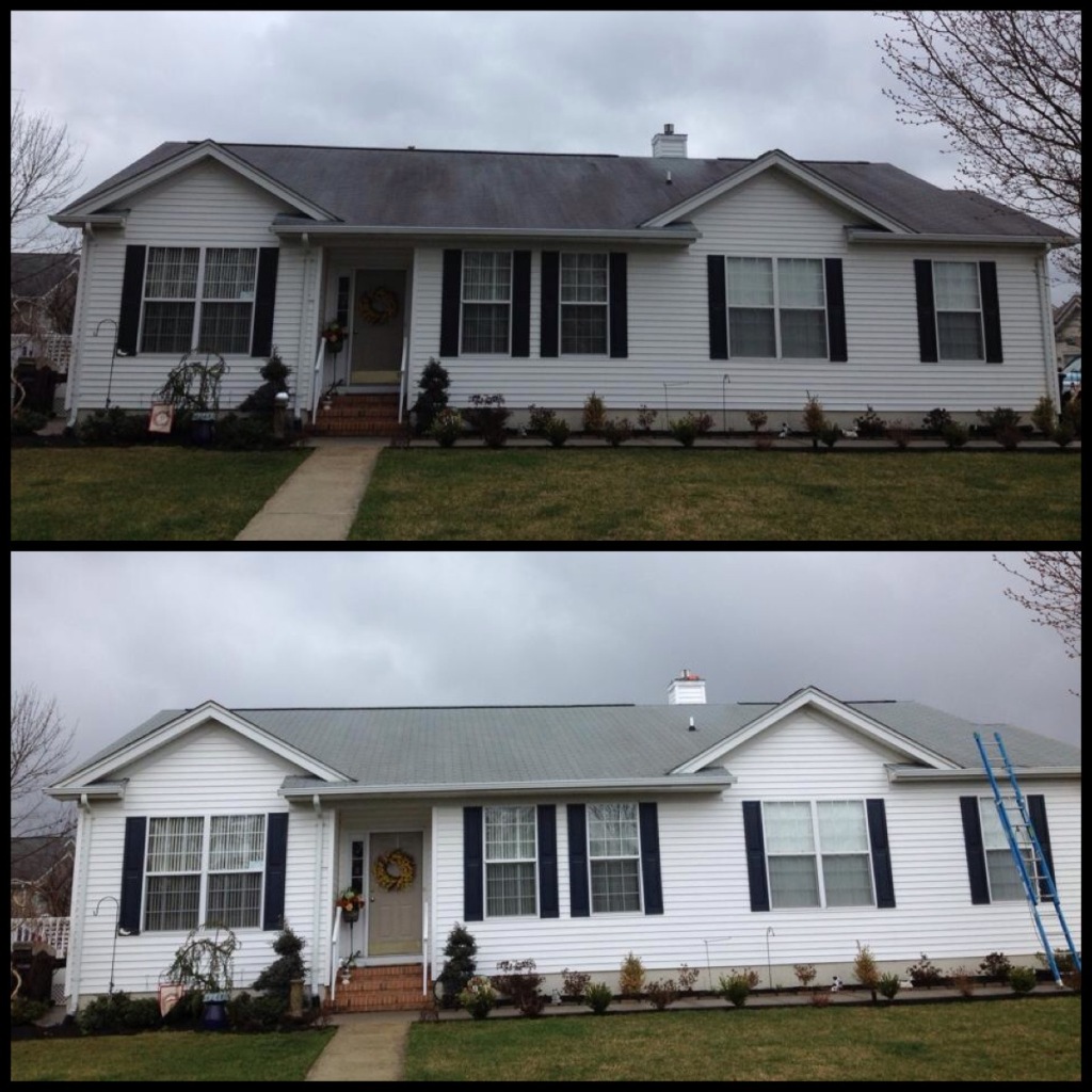 Roof Soft Washing (Before/After)